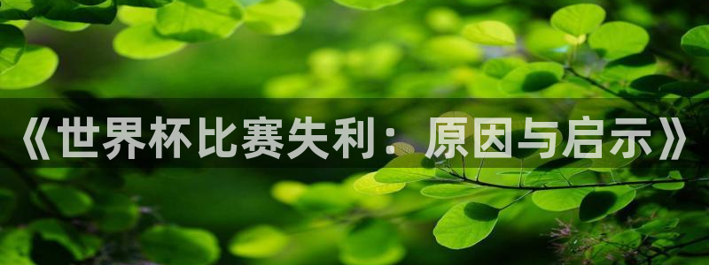 2026世界杯小组赛赛程时间表:《世界杯比赛失利:原因与启示》