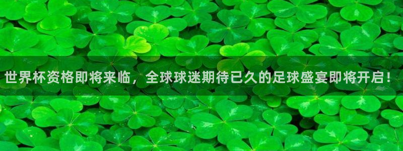 世界杯预选赛2026:世界杯资格即将来临,全球球迷期待已久的足球盛宴即将开启!